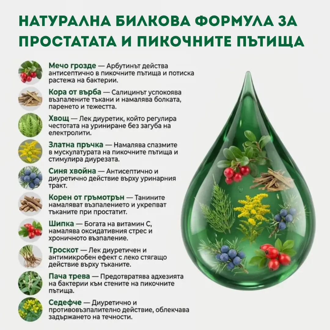 Здрава простата – тинктура 100 мл