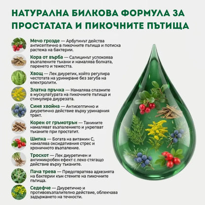 Здрава простата – тинктура 100 мл