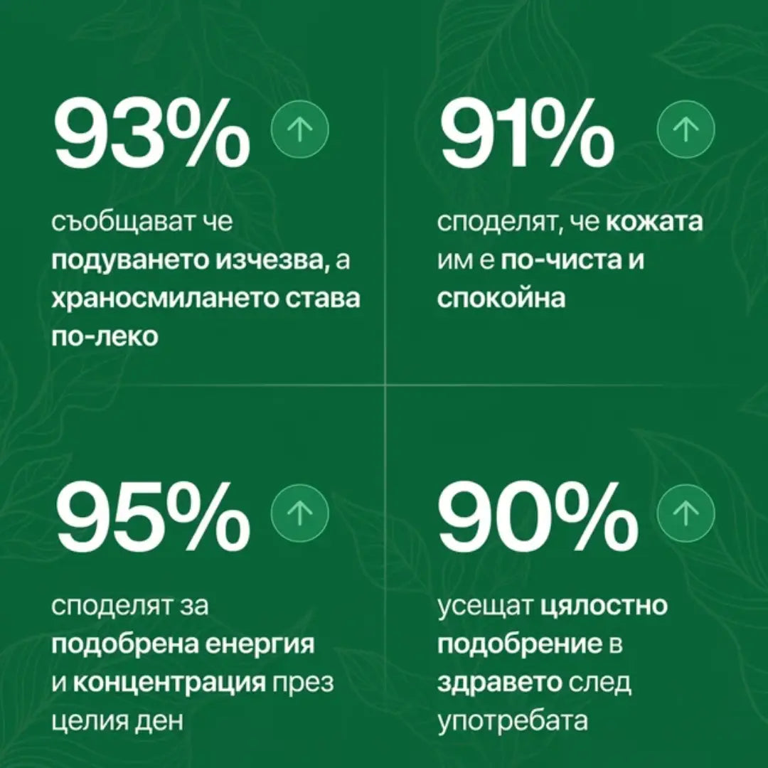 Антипаразитна програма – тинктура 100 мл
