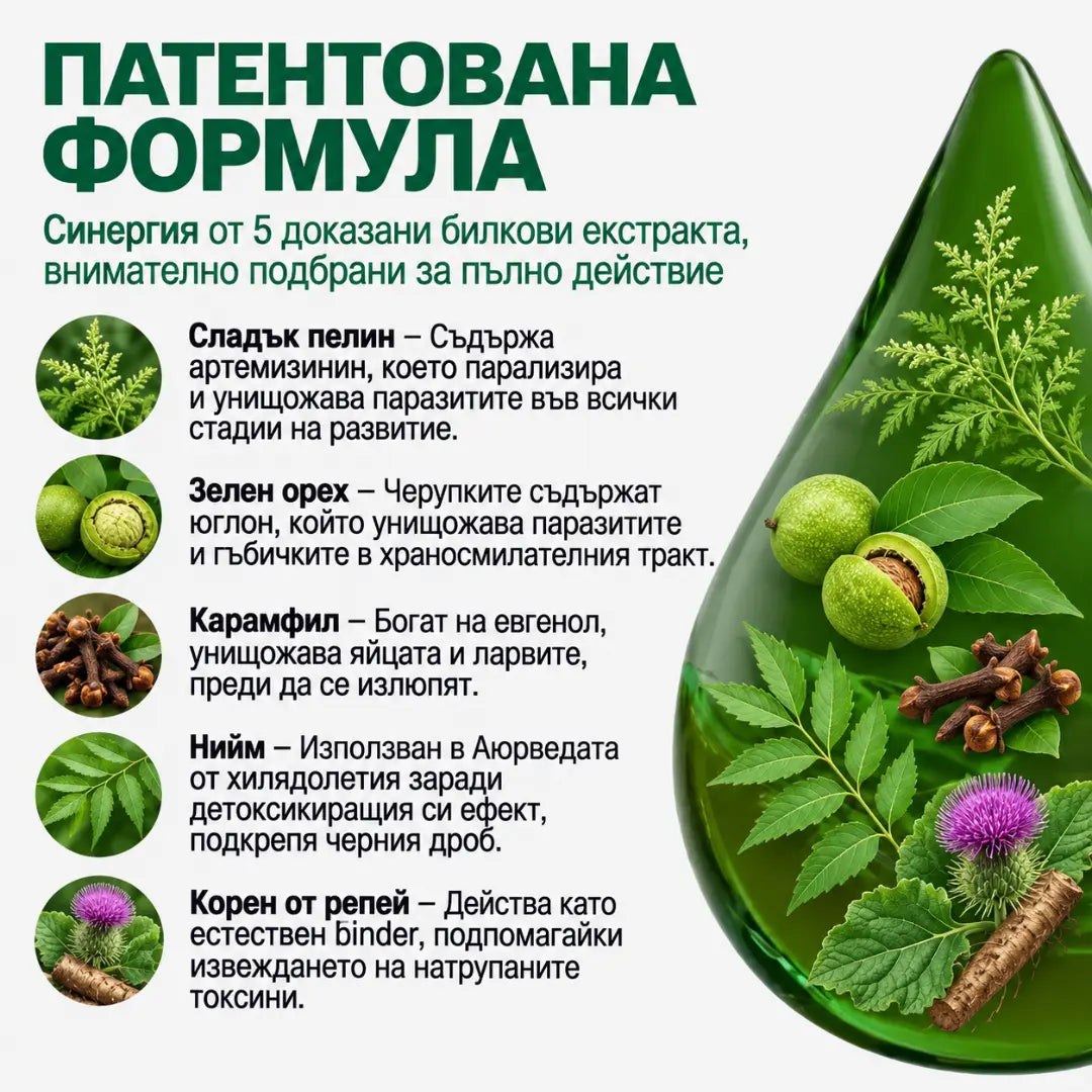 Антипаразитна програма – тинктура 100 мл