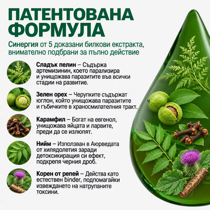 Антипаразитна програма – тинктура 100 мл