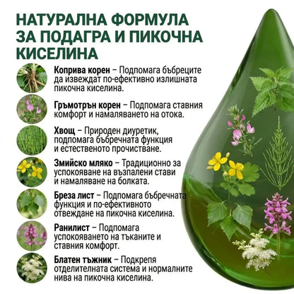Подагра – тинктура 50 мл