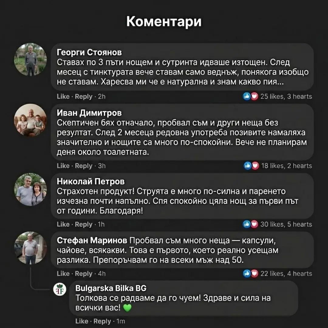 Здрава простата – тинктура 100 мл