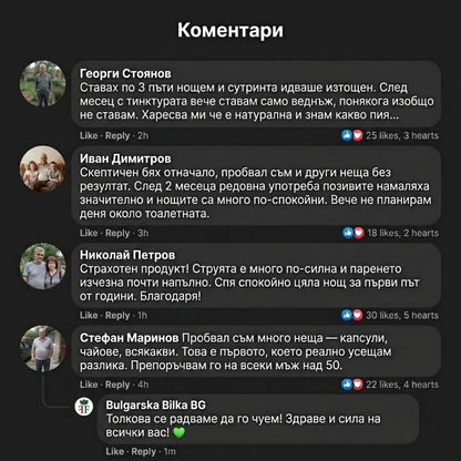 Здрава простата – тинктура 100 мл