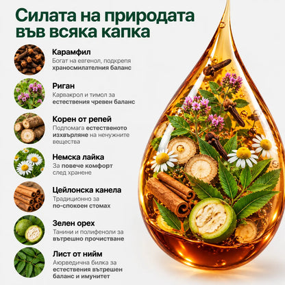 Антипаразитна програма – тинктура 100 мл