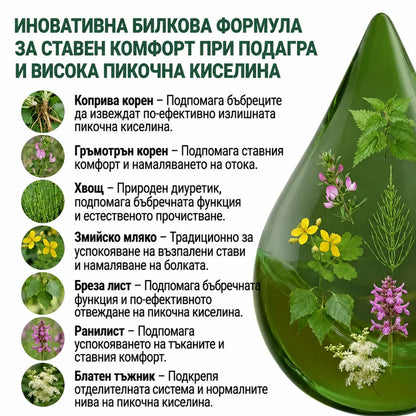 Подагра – тинктура 50 мл