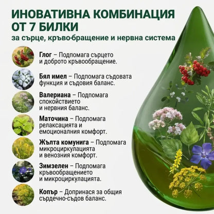 Нормално кръвно – тинктура 50 мл
