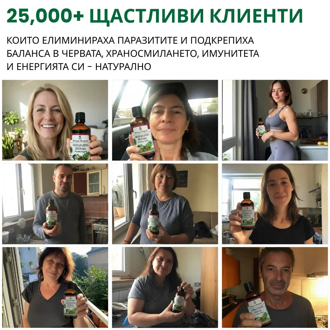 Антипаразитна програма – тинктура 100 мл - убива паразити, бактерии и гъбички