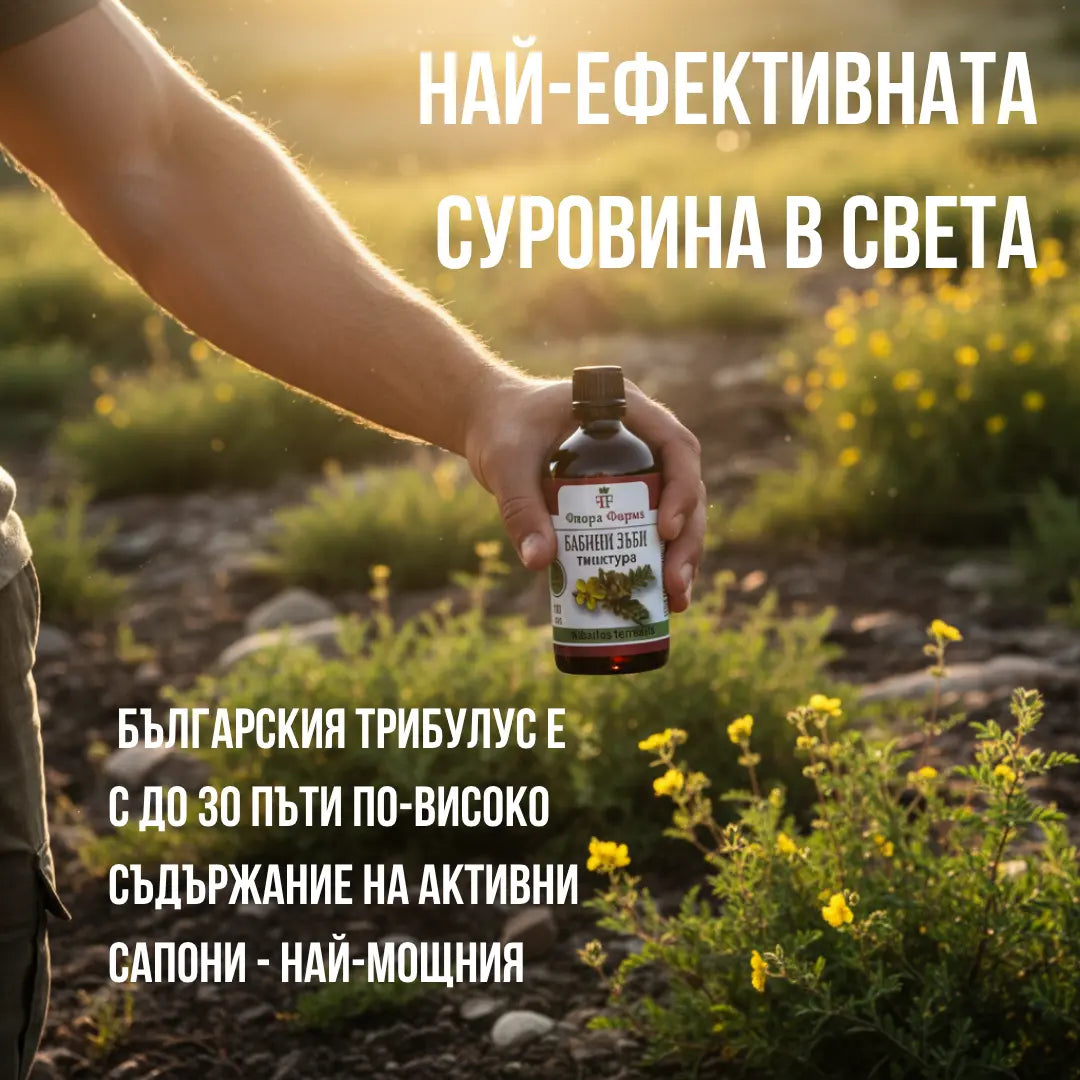 Бабини зъби – тинктура 100 мл - за сила, енергия и либидо