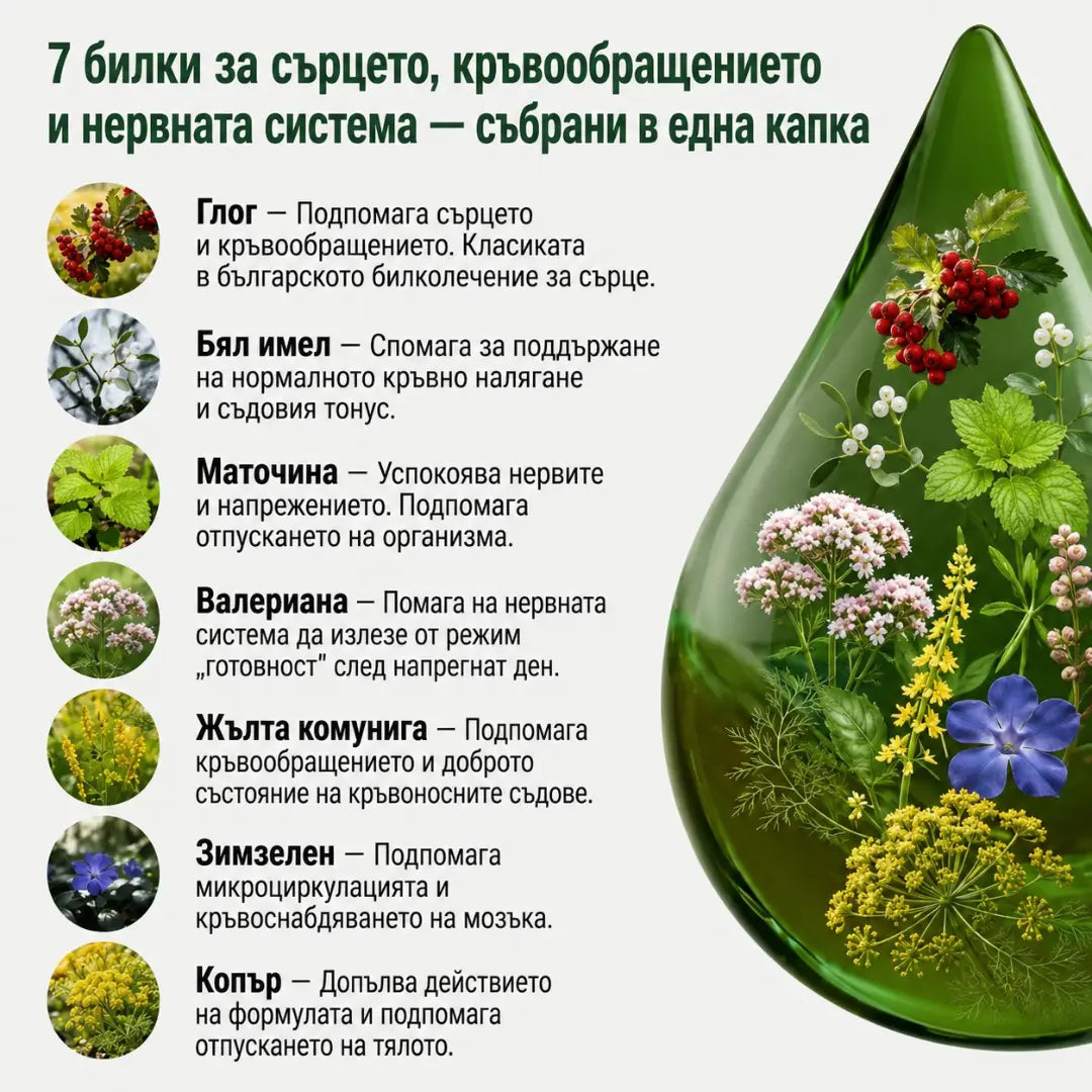 Нормално кръвно – тинктура 50 мл