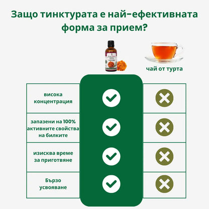 Турта – тинктура 50 мл - при кисти, миоми и полипи
