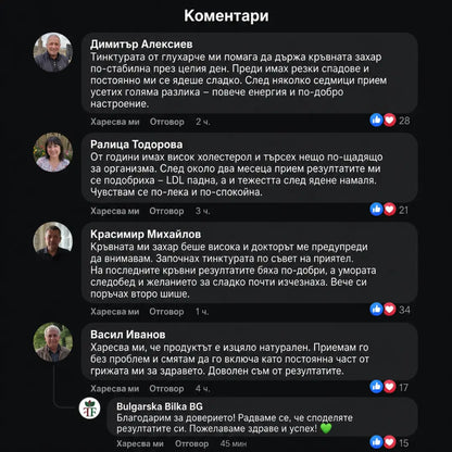 Глухарче – тинктура 100 мл - за контрол на холестерола, кръвната захар