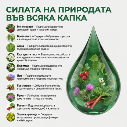 Здрави бъбреци – тинктура 50 мл - почистване на пикочните пътища
