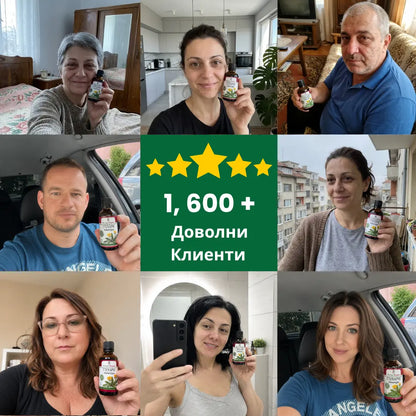 Глухарче – тинктура 100 мл - за контрол на холестерола, кръвната захар