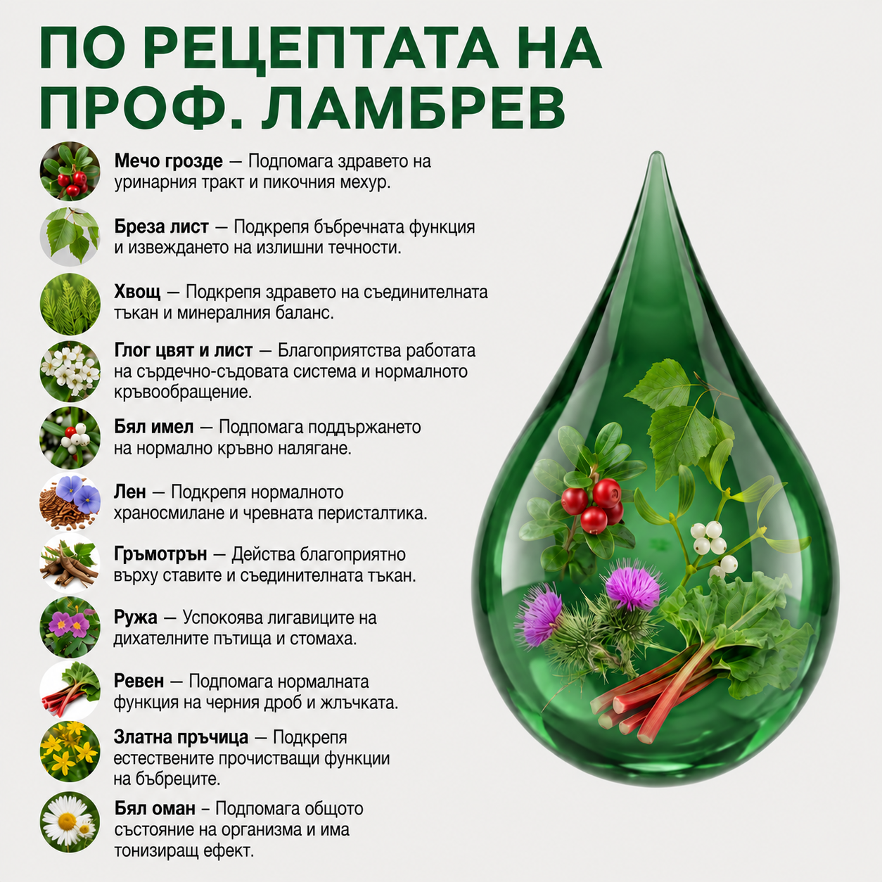 Здрави бъбреци – тинктура 50 мл - почистване на пикочните пътища