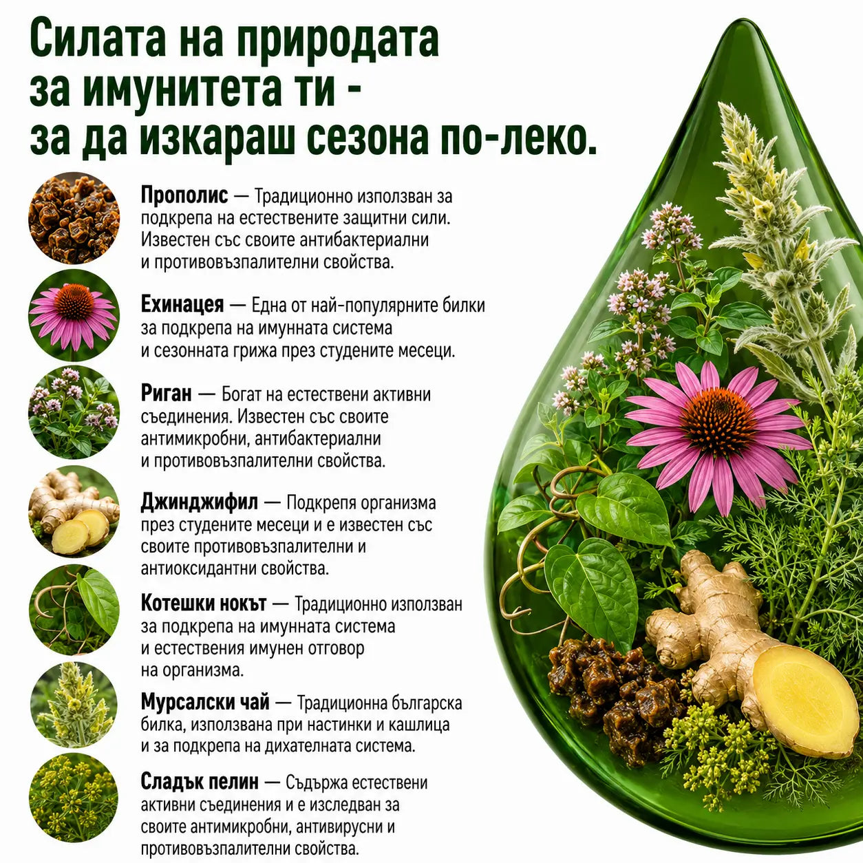 Антивирусна програма – тинктура 100 мл