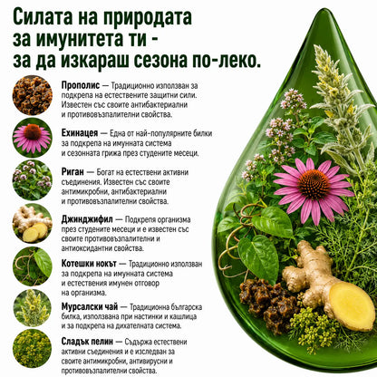 Антивирусна програма – тинктура 100 мл