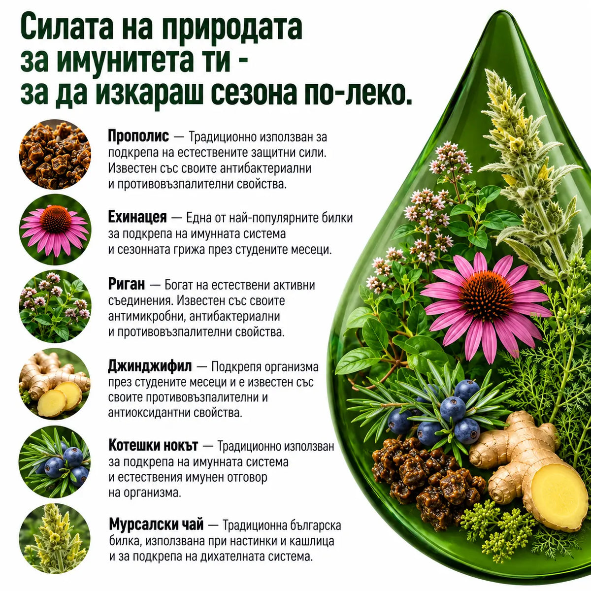 Антивирусна програма – тинктура 100 мл