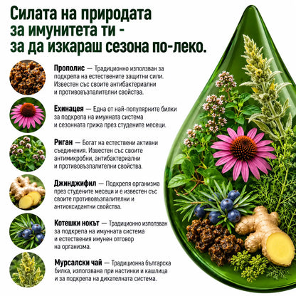 Антивирусна програма – тинктура 100 мл