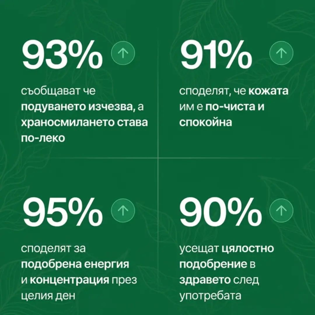 Антипаразитна програма – тинктура 100 мл - убива паразити, бактерии и гъбички